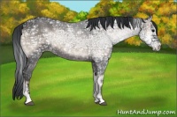 Horse Color:Blue Onyx Ice 
