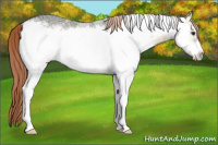 Horse Color:White Spotted Liver Red Onyx Ice Frame