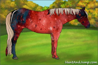 Horse Color:ERROR: UNKNOWN ANOMALY