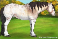 Horse Color:White Spotted Bay Ice Onyx