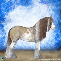Horse Color:Liver Red Dun Sabino Splash Brindle