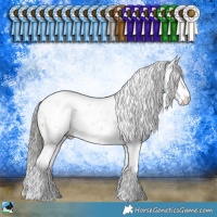 Horse Color:Liver Red Dun Mushroom Sabino Rabicano 