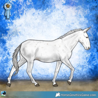 Horse Color:Liver Red Dun Mushroom Sabino Rabicano
