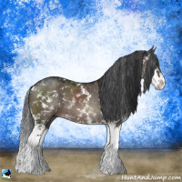 Horse Color:Brown Dun Mushroom Sabino 