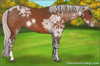 Horse Color:White Spotted Silver Bay Ice 