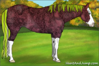 Horse Color:Painted Amber Champagne Ice Dun Splash 
