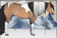 Horse Color:Bay Dun Sabino Tobiano 