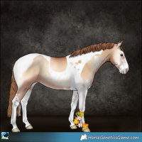 Horse Color:Brown Pearl Onyx Sabino Tobiano