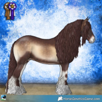 Horse Color:Chocolate Bay Onyx 