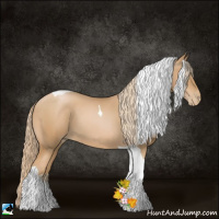 Horse Color:Chestnut Pearl Sabino Tobiano 