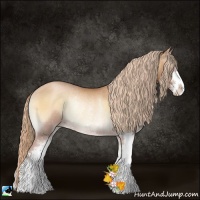 Horse Color:Red Onyx Pearl Sabino Rabicano 