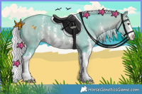 Horse Color:Watercolor Silver Bay Sabino Splash 