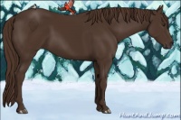 Horse Color:Liver Chestnut 