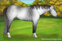 Horse Color:Gray Liver Chestnut