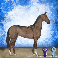 Horse Color:Liver Red Dun Brindle 