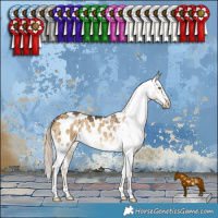 Horse Color:Chocolate Palomino Dun Blanket Brindle 