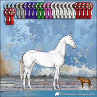 Horse Color:Chocolate Palomino Dun Appaloosa Brindle 