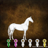Horse Color:Chocolate Palomino Pearl Dun Appaloosa Brindle 