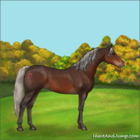 Horse Color:Silver Brown 