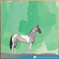 Horse Color:Brown Roan Dun Tobiano Brindle 