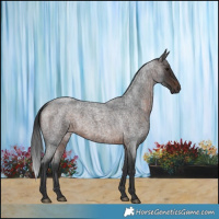 Horse Color:Brown Roan 