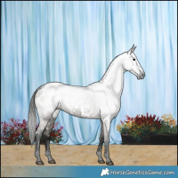 Horse Color:Gray Grullo Roan Near Leopard Brindle 