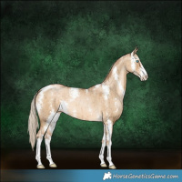 Horse Color:Chocolate Palomino Pearl Dun Sabino Brindle 