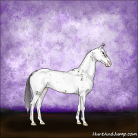 Horse Color:Smoky Grullo Sabino Brindle