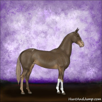 Horse Color:Chocolate Palomino Varnish 