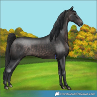 Horse Color:Platinum Brown 