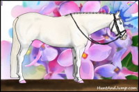 Horse Color:Perlino Splash