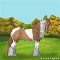 Horse Color:Red Roan Tobiano 