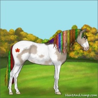 Horse Color:Painted Bay Dun Tobiano Frame Varnish Rabicano 