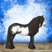 Horse Color:Liver Chestnut Frame 