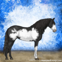 Horse Color:Liver Chestnut Frame 