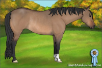 Horse Color:Bay Dun Rabicano 