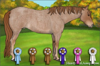 Horse Color:Red Roan