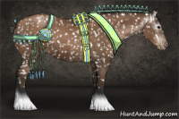 Horse Color:Gray Black Pearl Appaloosa  and Gray Black Pearl Appaloosa 