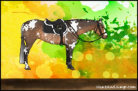 Horse Color:White Spotted Buckskin Rabicano 