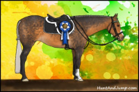 Horse Color:Silver Buckskin 