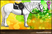 Horse Color:Perlino Appaloosa 