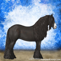 Horse Color:Liver Chestnut Frame