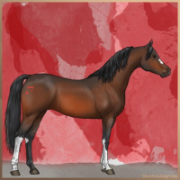 Horse Color:Brown 