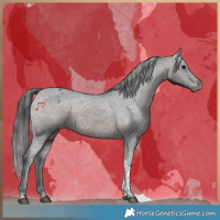 Horse Color:Brown Tobiano Varnish 
