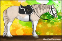 Horse Color:Perlino Splash 