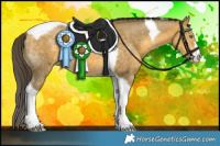Horse Color:Sable Cream Champagne Tobiano 