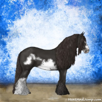 Horse Color:Liver Chestnut Frame 
