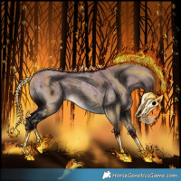 Horse Color:ERROR: UNKNOWN ANOMALY