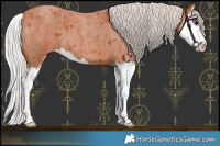 Horse Color:Silver Bay Roan Splash 