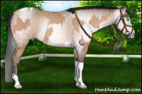 Horse Color:Amber Champagne Sabino Tobiano Varnish  and Gray Amber Champagne Sabino Tobiano Varnish 